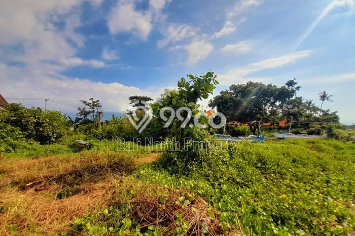 Tanah Dijual Area Strategis di Lovina Buleleng 1660m2 Tanah Dijual Area Strategis di Lovina Buleleng 1660m2