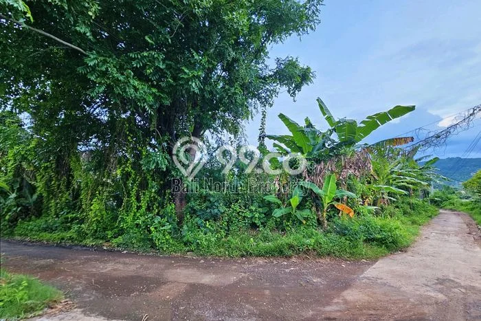 Tanah Dijual Lokasi Strategis di Buleleng dengan Luas 500m2 Tanah Dijual Lokasi Strategis di Buleleng dengan Luas 500m2