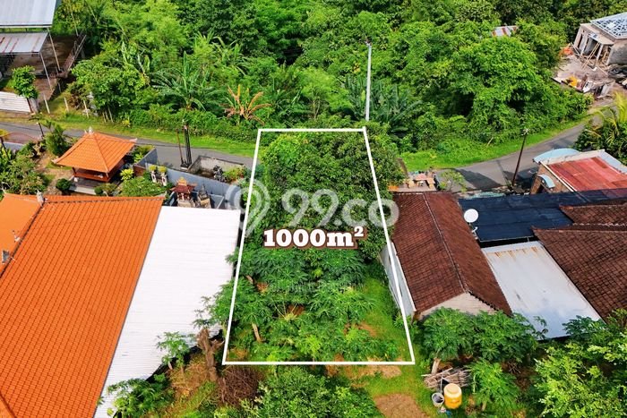 Tanah Strategis Dijual di Buleleng Buleleng 1000m2 Tanah Strategis Dijual di Buleleng Buleleng 1000m2