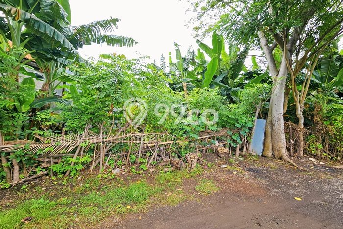 Kavling Tanah untuk Dijual di Lovina, Buleleng, Luas 400m2 Kavling Tanah untuk Dijual di Lovina, Buleleng, Luas 400m2