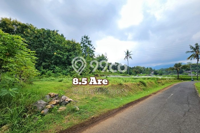 Tanah Kavling Dijual di Lovina, Buleleng dengan Luas Tanah 850m2 Tanah Kavling Dijual di Lovina, Buleleng dengan Luas Tanah 850m2