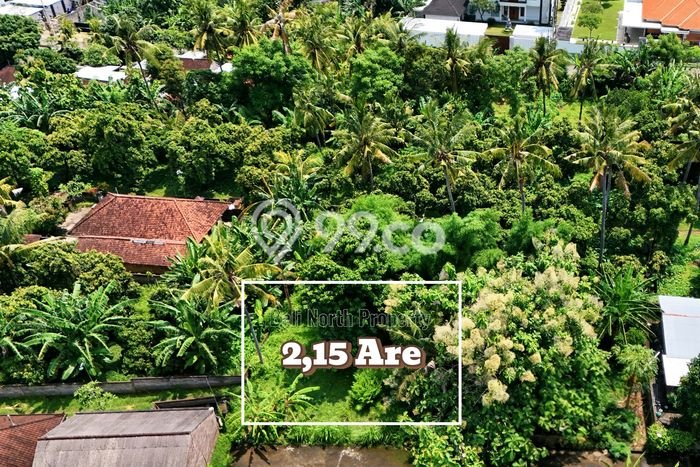 Kavling Tanah untuk Dijual di Lovina, Buleleng, Luas 215m2 Kavling Tanah untuk Dijual di Lovina, Buleleng, Luas 215m2