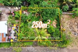 Lahan Dijual Lokasi Strategis di Buleleng dengan Luas 250m2 Lahan Dijual Lokasi Strategis di Buleleng dengan Luas 250m2