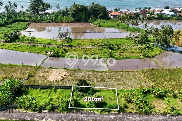 Untuk Dijual Tanah 200m2 di Lovina, Buleleng Untuk Dijual Tanah 200m2 di Lovina, Buleleng