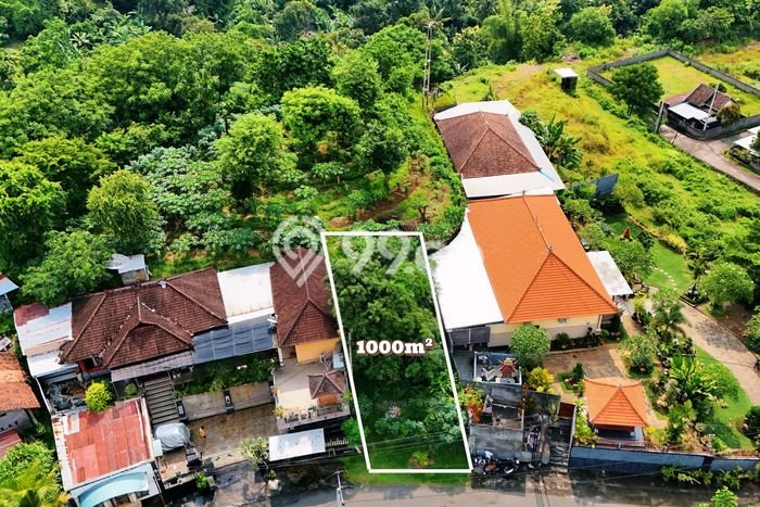 Tanah Strategis Dijual di Buleleng Buleleng 1000m2 Tanah Strategis Dijual di Buleleng Buleleng 1000m2