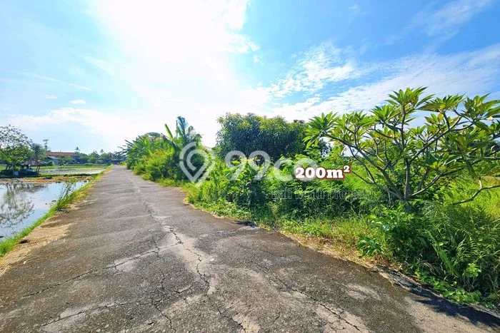 Untuk Dijual Tanah 200m2 di Lovina, Buleleng Untuk Dijual Tanah 200m2 di Lovina, Buleleng