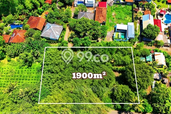 Tanah Dijual Area Strategis di Lovina Buleleng 1900m2 Tanah Dijual Area Strategis di Lovina Buleleng 1900m2