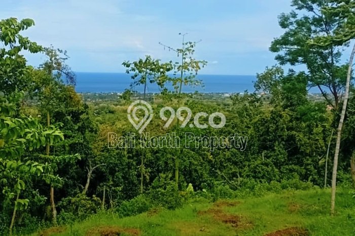 Tanah Kavling Dijual di Buleleng dengan Spesifikasi 17000m2 Tanah Kavling Dijual di Buleleng dengan Spesifikasi 17000m2