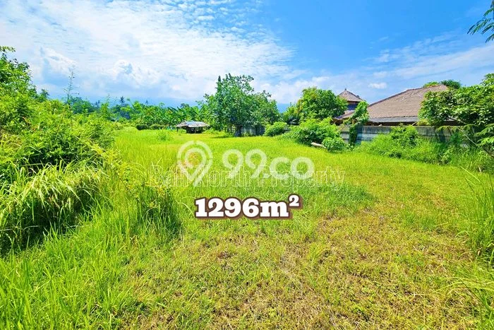 Tanah Siap Bangun Dijual di Buleleng Punya Luas 1296m2 Tanah Siap Bangun Dijual di Buleleng Punya Luas 1296m2