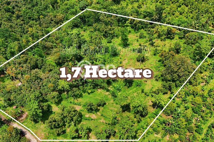 Tanah Kavling Dijual di Buleleng dengan Spesifikasi 17000m2 Tanah Kavling Dijual di Buleleng dengan Spesifikasi 17000m2