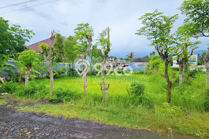 Tanah Kavling Dijual di Lovina, Buleleng dengan Luas Tanah 380m2 Tanah Kavling Dijual di Lovina, Buleleng dengan Luas Tanah 380m2