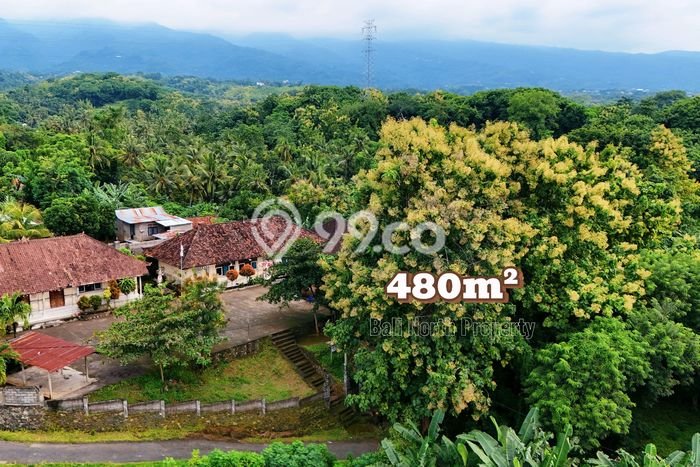 Lahan Kosong Dijual di Buleleng dengan Area 480m2 Lahan Kosong Dijual di Buleleng dengan Area 480m2