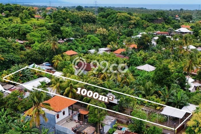 Untuk Dijual Tanah di Buleleng, Luas 1000m2 SHM Untuk Dijual Tanah di Buleleng, Luas 1000m2 SHM