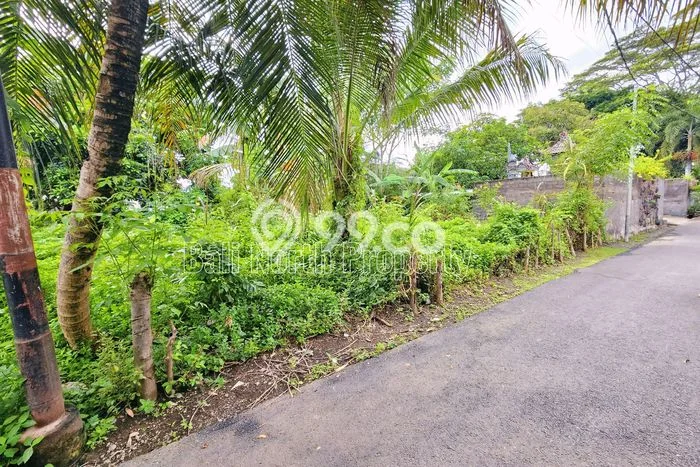 Kavling Tanah untuk Dijual di Lovina, Buleleng, Luas 300m2 Kavling Tanah untuk Dijual di Lovina, Buleleng, Luas 300m2