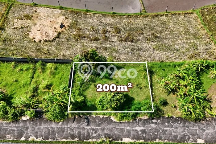 Untuk Dijual Tanah 200m2 di Lovina, Buleleng Untuk Dijual Tanah 200m2 di Lovina, Buleleng