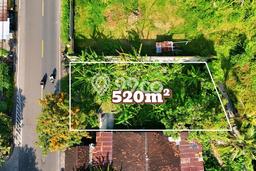 Tanah Kavling Dijual di Buleleng dengan Spesifikasi 520m2 Tanah Kavling Dijual di Buleleng dengan Spesifikasi 520m2
