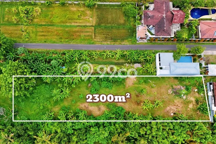 Tanah Kavling Dijual di Buleleng dengan Spesifikasi 2300m2 Tanah Kavling Dijual di Buleleng dengan Spesifikasi 2300m2
