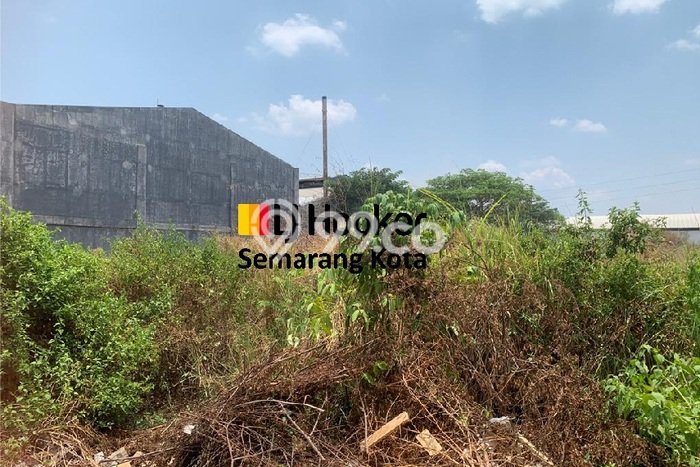 Lahan Investasi Lokasi Ngaliyan Semarang SHM Lahan Investasi Lokasi Ngaliyan Semarang SHM