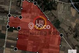 Tanah Dijual Lokasi Sumberlawang, Sragen Luas 100000m2 Legalitas Aman Tanah Dijual Lokasi Sumberlawang, Sragen Luas 100000m2 Legalitas Aman