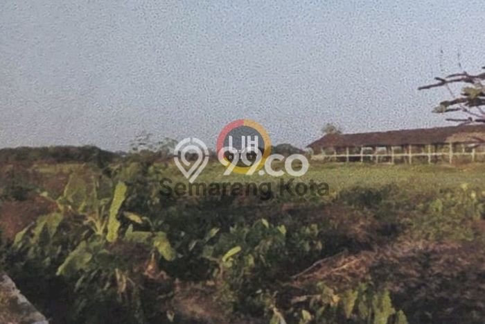 Kavling Tanah Dijual di Polanharjo, Klaten, Luas 45230m2 Area Strategis Kavling Tanah Dijual di Polanharjo, Klaten, Luas 45230m2 Area Strategis