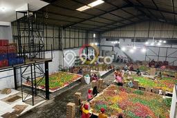 Unit Gudang Dijual di Ambarawa Ambarawa Luas Tanah 1621m2, Luas Bangunan 1200m2 Unit Gudang Dijual di Ambarawa Ambarawa Luas Tanah 1621m2, Luas Bangunan 1200m2