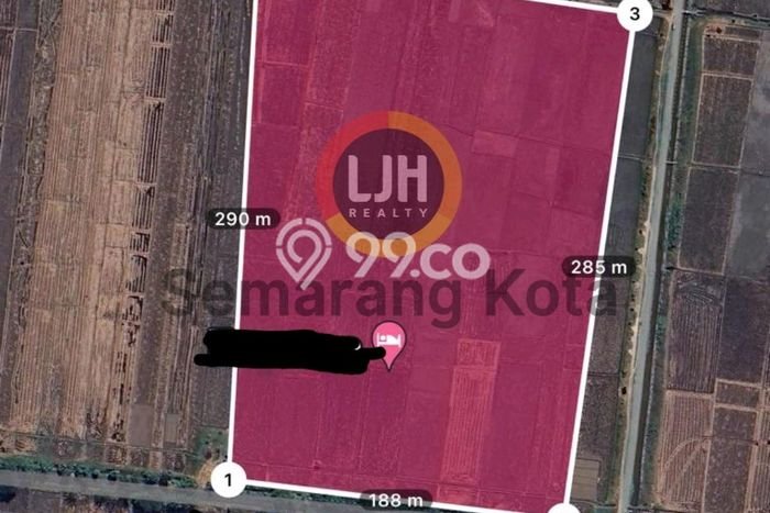 Tanah Kavling di Gondang Dijual dengan Luas 60000m2 Tanah Kavling di Gondang Dijual dengan Luas 60000m2