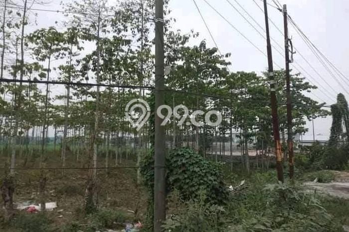 Tanah Dijual Lokasi Cikande, Serang Luas 26000m2 Legalitas Aman Tanah Dijual Lokasi Cikande, Serang Luas 26000m2 Legalitas Aman