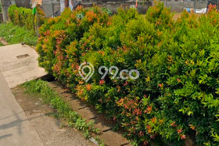 Kavling Tanah untuk Dijual di Depok I, Depok, Luas 1830m2 Kavling Tanah untuk Dijual di Depok I, Depok, Luas 1830m2