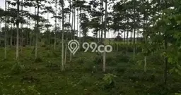 Tanah Dijual Lokasi Cikande, Serang Luas 26000m2 Legalitas Aman Tanah Dijual Lokasi Cikande, Serang Luas 26000m2 Legalitas Aman