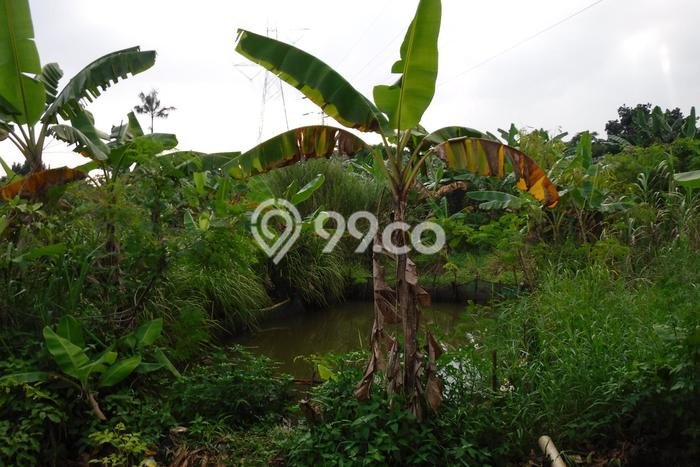 Tanah Kosong Dijual di Bogor dengan Area 6075m2 Tanah Kosong Dijual di Bogor dengan Area 6075m2