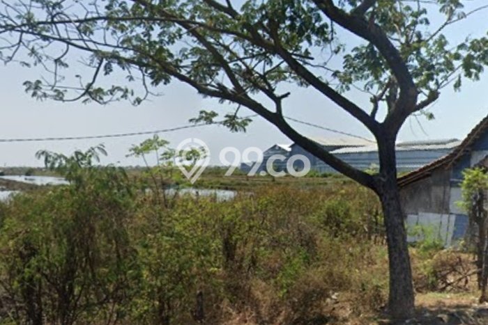 Kavling Tanah Dijual di Losari Cirebon Spesifikasi 12000m2 Kavling Tanah Dijual di Losari Cirebon Spesifikasi 12000m2