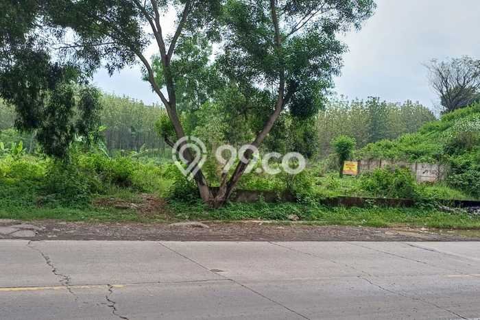 Kavling Tanah Dijual di Palimanan Cirebon Spesifikasi 5150m2 Kavling Tanah Dijual di Palimanan Cirebon Spesifikasi 5150m2