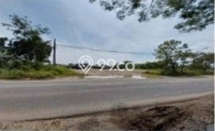 Jarang Ada! Tanah di Palimanan Punya Luas 15875m2 SHM Jarang Ada! Tanah di Palimanan Punya Luas 15875m2 SHM