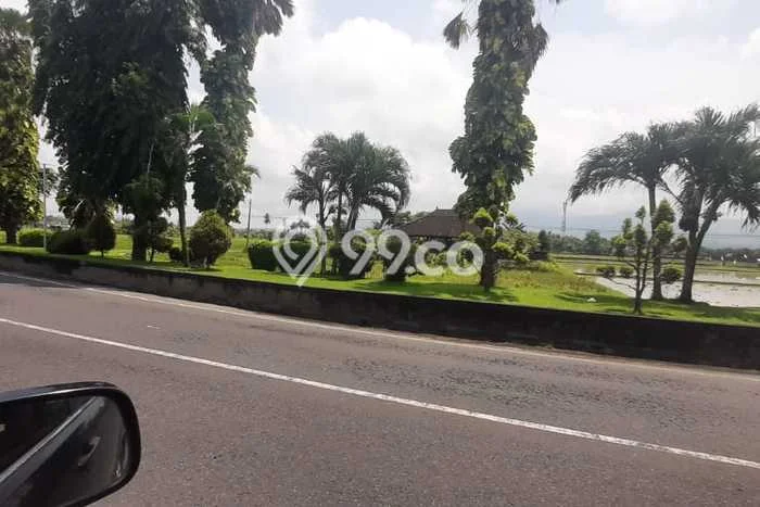 Dijual Tanah Lokasi Gilimanuk, Jembrana Seluas 500m2 Dijual Tanah Lokasi Gilimanuk, Jembrana Seluas 500m2