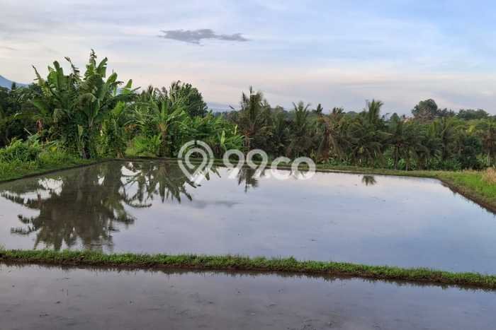 Untuk Dijual Tanah di Tabanan, Luas 2000m2 SHM Untuk Dijual Tanah di Tabanan, Luas 2000m2 SHM