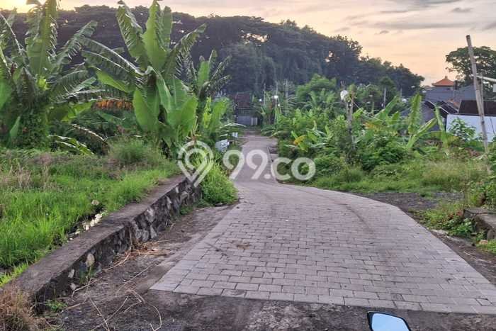 Untuk Dijual Tanah di Tabanan, Luas 2000m2 SHM Untuk Dijual Tanah di Tabanan, Luas 2000m2 SHM