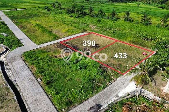 Dijual Tanah di Tabanan, Luas 43300m2 SHM Dijual Tanah di Tabanan, Luas 43300m2 SHM