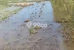 Tanah Kavling untuk Dijual di Buleleng Buleleng 867000m2 Tanah Kavling untuk Dijual di Buleleng Buleleng 867000m2