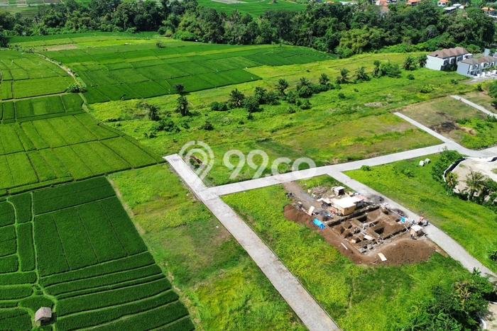 Dijual Tanah di Tabanan, Luas 43300m2 SHM Dijual Tanah di Tabanan, Luas 43300m2 SHM