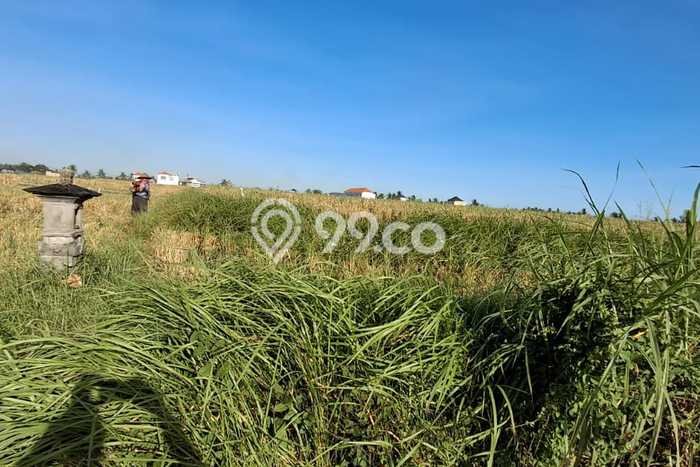 Untuk Dijual Tanah 900m2 di Kedungu, Tabanan Untuk Dijual Tanah 900m2 di Kedungu, Tabanan