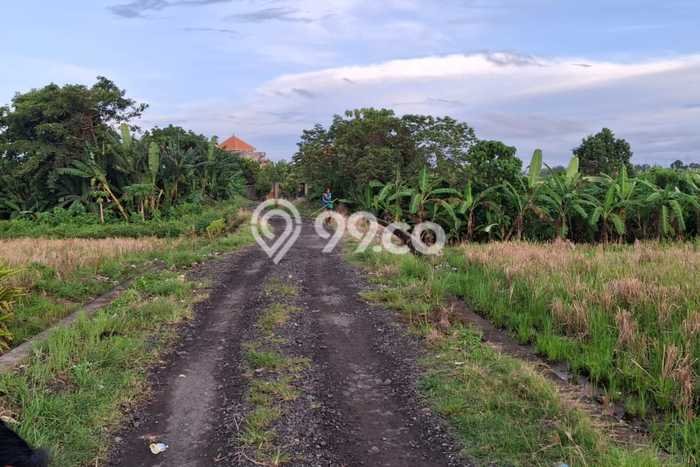 Untuk Dijual Tanah di Tabanan, Luas 2000m2 SHM Untuk Dijual Tanah di Tabanan, Luas 2000m2 SHM