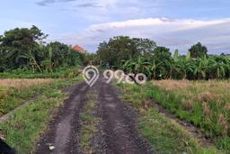 Untuk Dijual Tanah di Tabanan, Luas 2000m2 SHM Untuk Dijual Tanah di Tabanan, Luas 2000m2 SHM