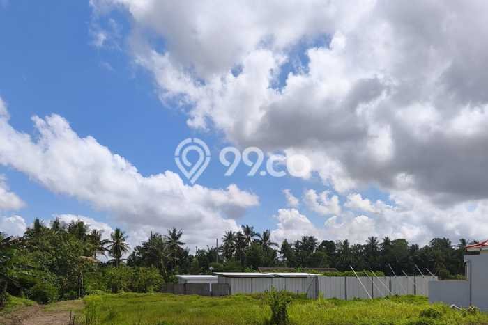 Tanah Siap Pakai Disewakan di Ubud, Gianyar, Luas 740m2 Tanah Siap Pakai Disewakan di Ubud, Gianyar, Luas 740m2