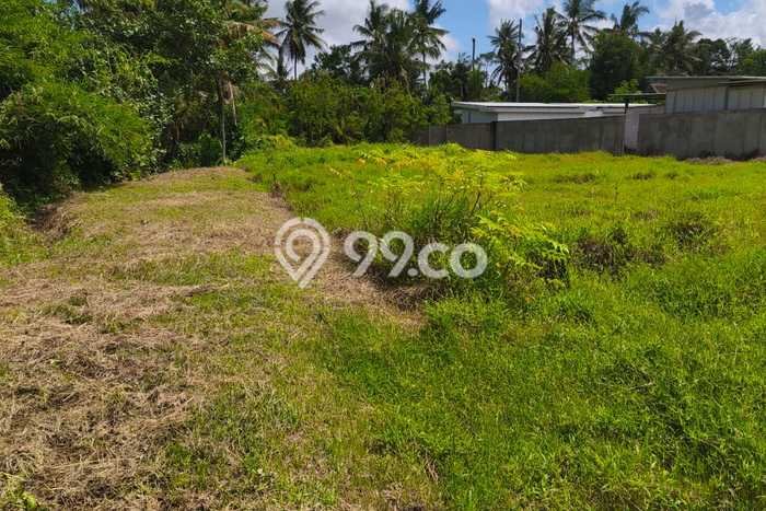 Tanah Siap Pakai Disewakan di Ubud, Gianyar, Luas 740m2 Tanah Siap Pakai Disewakan di Ubud, Gianyar, Luas 740m2