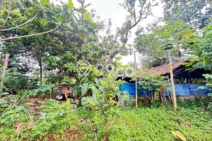 Kavling Tanah di Sawangan Dijual Luas 1398m2 Legalitas SHM Kavling Tanah di Sawangan Dijual Luas 1398m2 Legalitas SHM