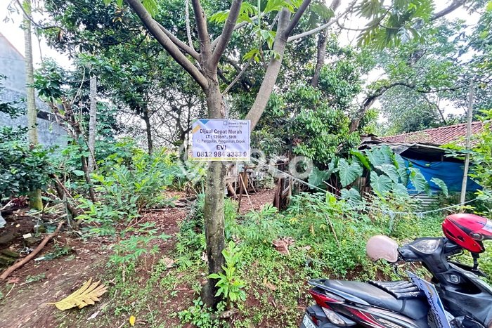 Kavling Tanah di Sawangan Dijual Luas 1398m2 Legalitas SHM Kavling Tanah di Sawangan Dijual Luas 1398m2 Legalitas SHM
