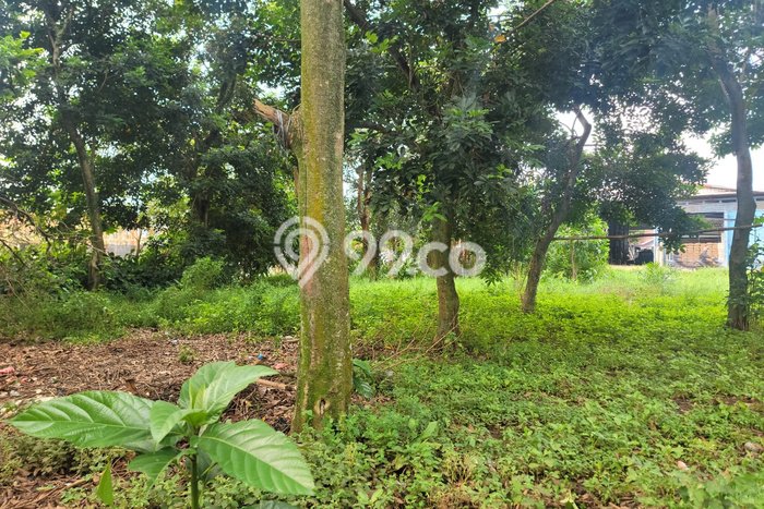 Lahan Kosong Dijual di Sawangan, Depok, Luas 2400m2 Area Strategis Lahan Kosong Dijual di Sawangan, Depok, Luas 2400m2 Area Strategis