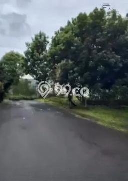 Lahan Investasi Lokasi Cilandak Jakarta Selatan SHM Lahan Investasi Lokasi Cilandak Jakarta Selatan SHM