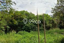Jarang Ada! Tanah di Parung Panjang Punya Luas 4896m2 SHM Jarang Ada! Tanah di Parung Panjang Punya Luas 4896m2 SHM
