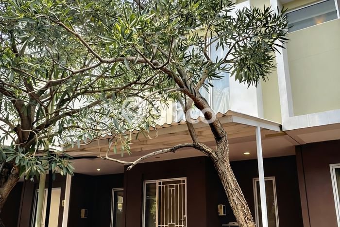 Rumah Minimalis 2 KT di Gading Serpong Tangerang Rumah Minimalis 2 KT di Gading Serpong Tangerang